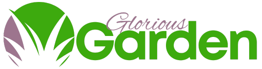 Glorious Garden