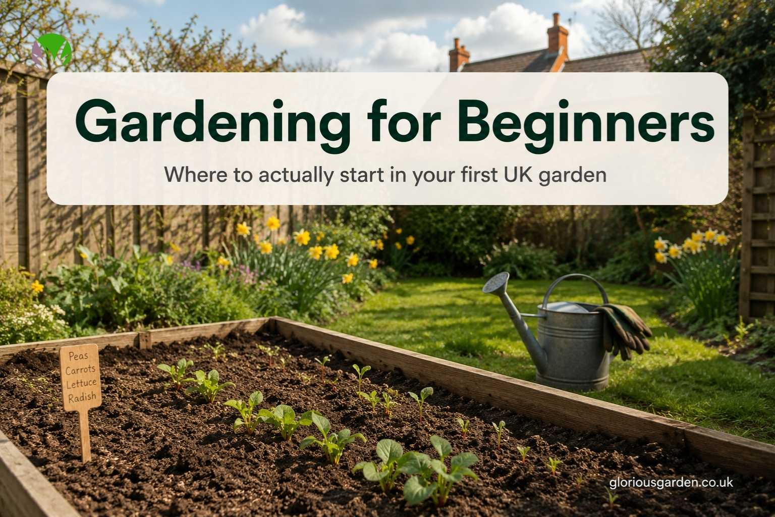 Gardening for beginners in the UK with raised vegetable beds in an Oxfordshire back garden in early spring