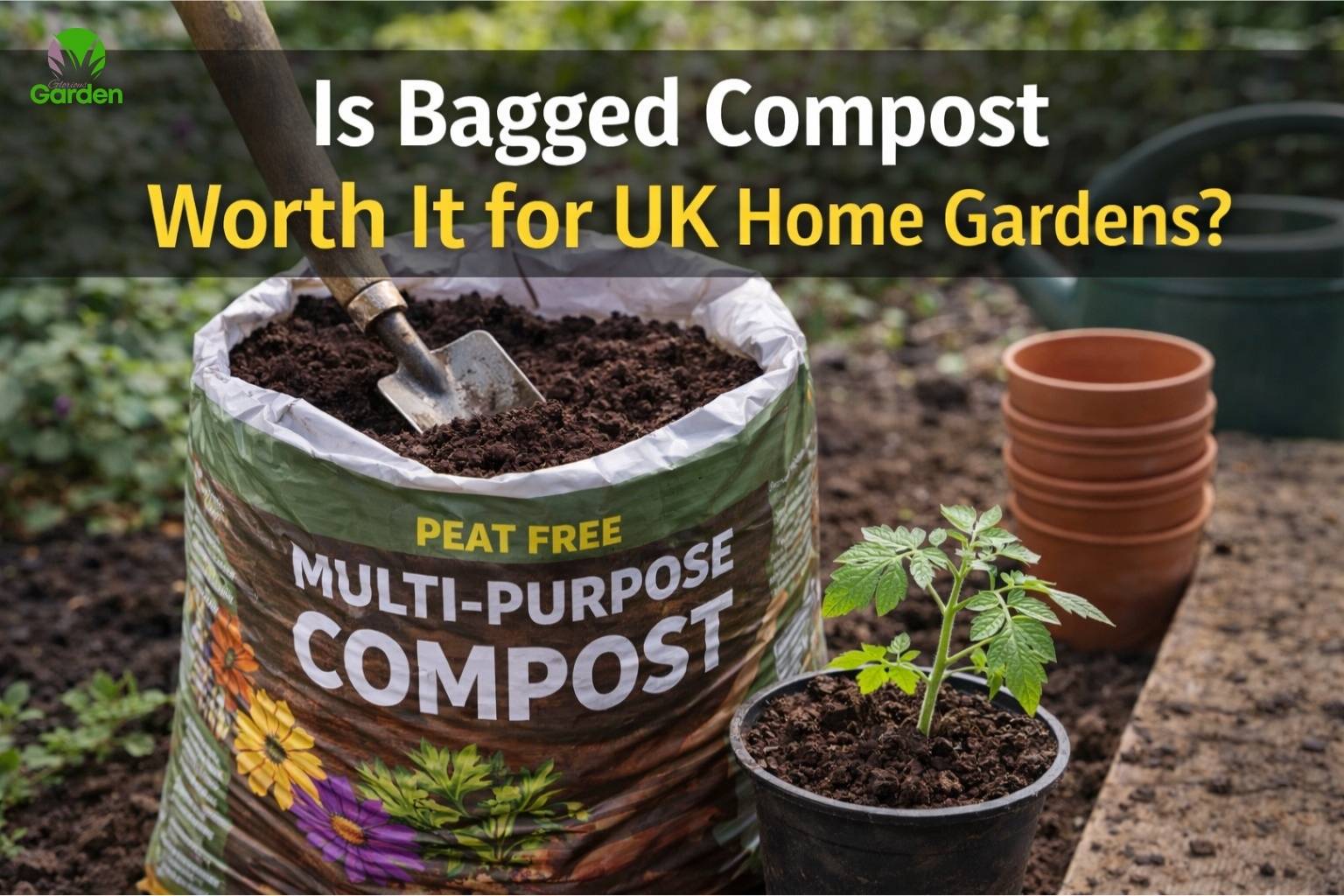 Is bagged compost worth it for UK home gardens