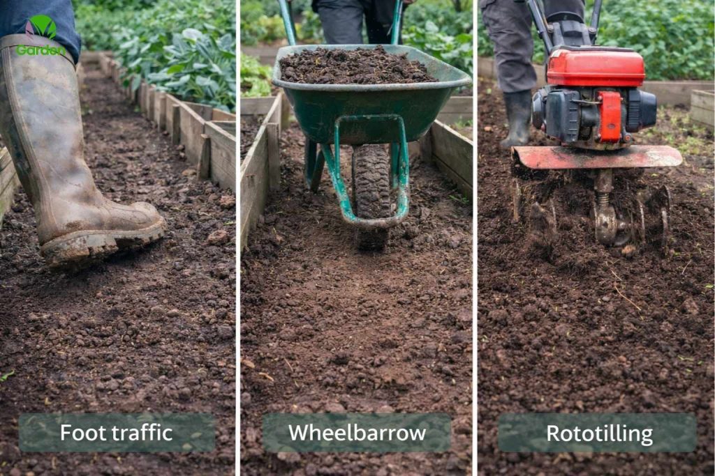 Common causes of soil compaction in UK gardens including walking on beds, wheelbarrow tracks, and frequent digging