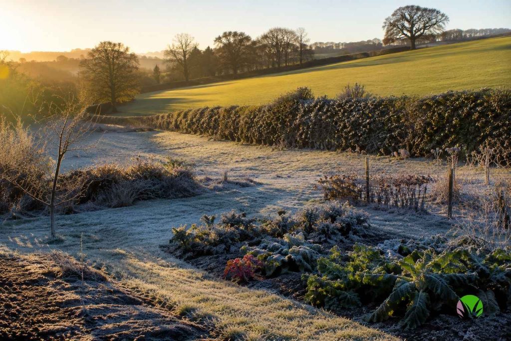 Frost settled in a low hollow of a UK garden while higher ground stays clear
