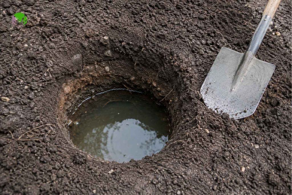 Garden drainage test in a UK garden with water filling a hole dug 30cm deep to check soil drainage rate