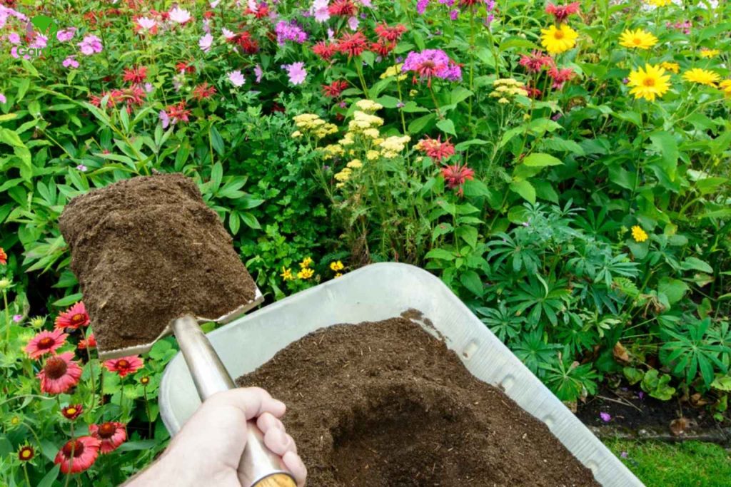 Compost mixed into garden soil improving structure and moisture retention in a UK garden bed