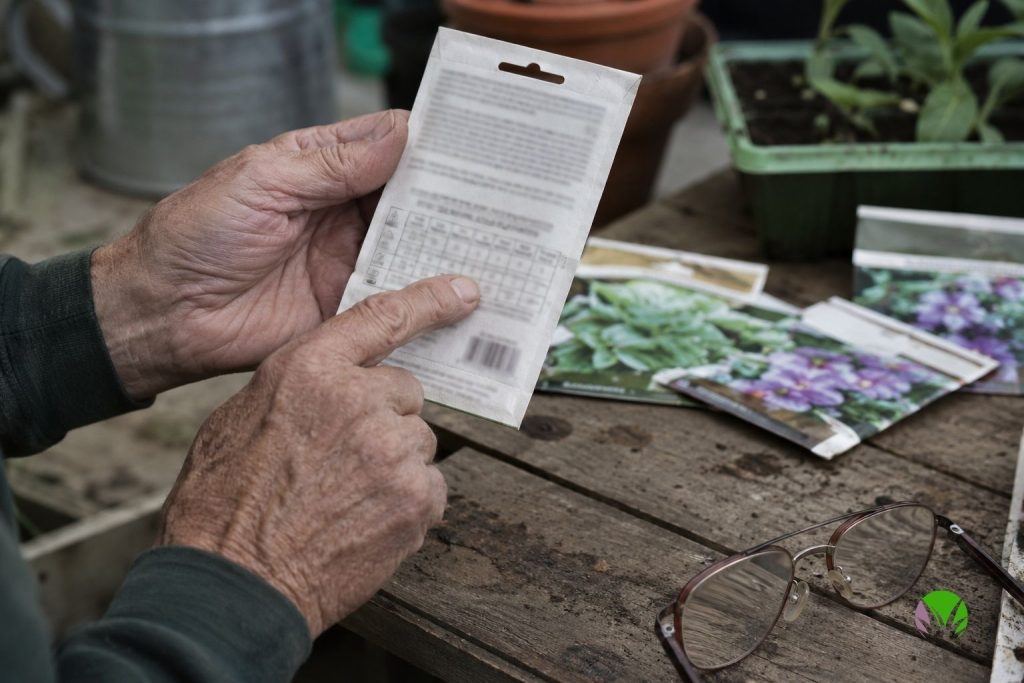 Hands checking the packed-for date and seed count on the back of a seed packet